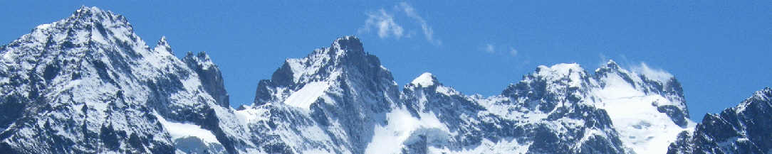 bild1