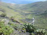 lanza4